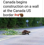 1742395024143.png