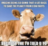 1742396374482.png