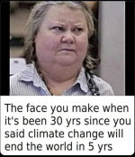 1742563532807.png