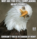 1742734497940.png
