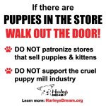 FB_IMG_1742805281027.jpg