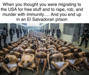 1742828826165.png