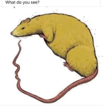 1742873844044.png