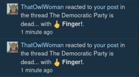 fowlscreen.jpg