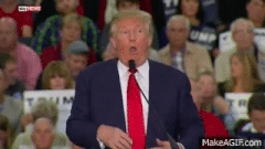 ezgif-39a1d1e7cc2019.gif
