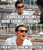 1742997463897.png