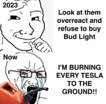 1742998229483.png