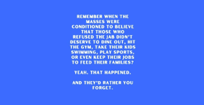 1743080253247.png