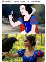 1743255269389.png