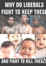 1743255306057.png