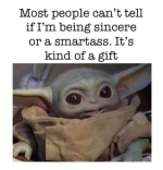 1743255333000.png