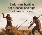 1743260629485.png
