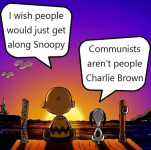 1743355029206.png
