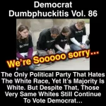 a0e05eL_460swp.webp