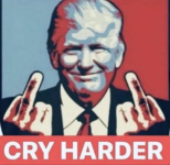 1743597959089.png
