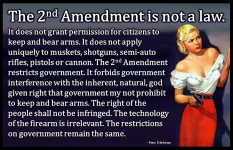 1744116709852.png