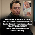 1744311853835.png