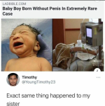1744376477947.png