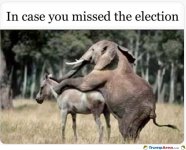 in-case-you-missed-it.jpg