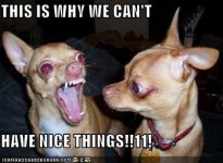 aggressivedog.jpg