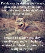 FB_IMG_1744536260974.jpg