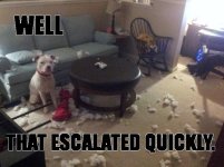 escalatedquickly.jpg