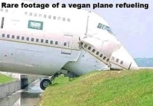 1745238834417.png
