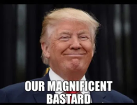 1745351564024.png
