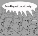 1745419599038.png