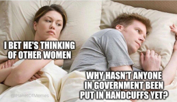 1745585278229.png