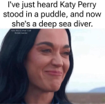 1745671915663.png