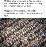 1745767536665.png