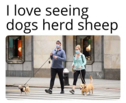 1746711209432.png