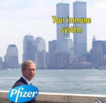 1746800443516.png