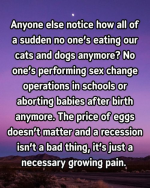 1746985552962.png