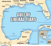 the-gulf.jpg