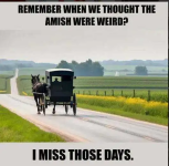 1747052547566.png