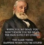 stupid.JPG