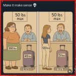 airport idiocy.jpg