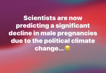 1747140637370.png