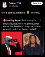 1747226628231.png