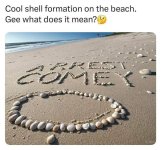 FB_IMG_1747404478874.jpg