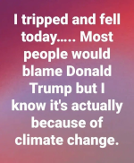 1747413715228.png