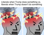 1747415190215.png