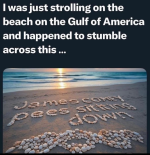 1747491231642.png