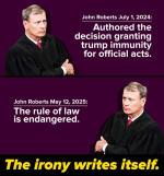 1747580858831.png