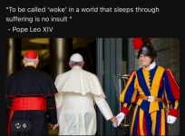 1747581669620.png