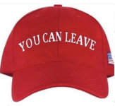 1747675739649.png