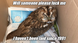 1747716586195.png