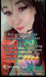 1747840203034.png